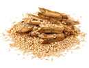 sesame_seeds